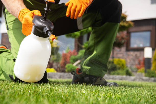 Professional Pest Control in Roseburg North, OR